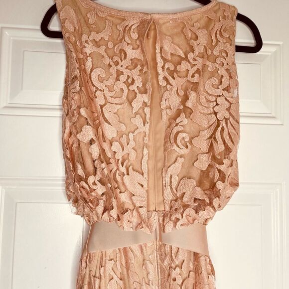 Mother of the Bride Tadashi Shoji Rose Gold Lace Belted Cocktail Dress - Picture 4 of 11